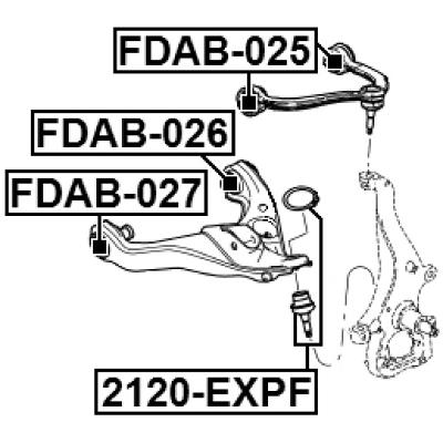 Bushing, front lower control arm