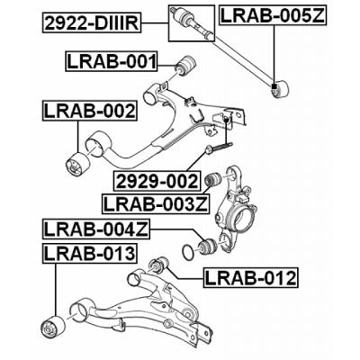 Rear knuckle bushing