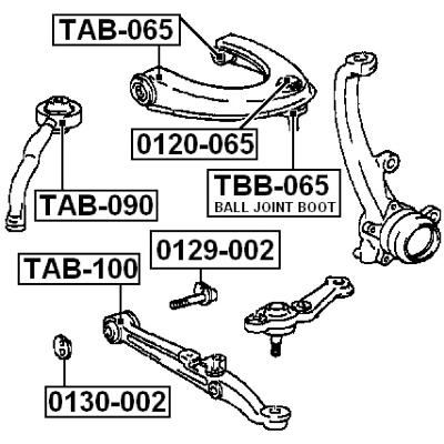 Bushing, front lower control arm